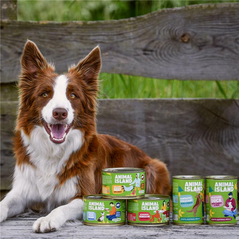 Wet Dog Food Mix of Flavors 4x400/410g