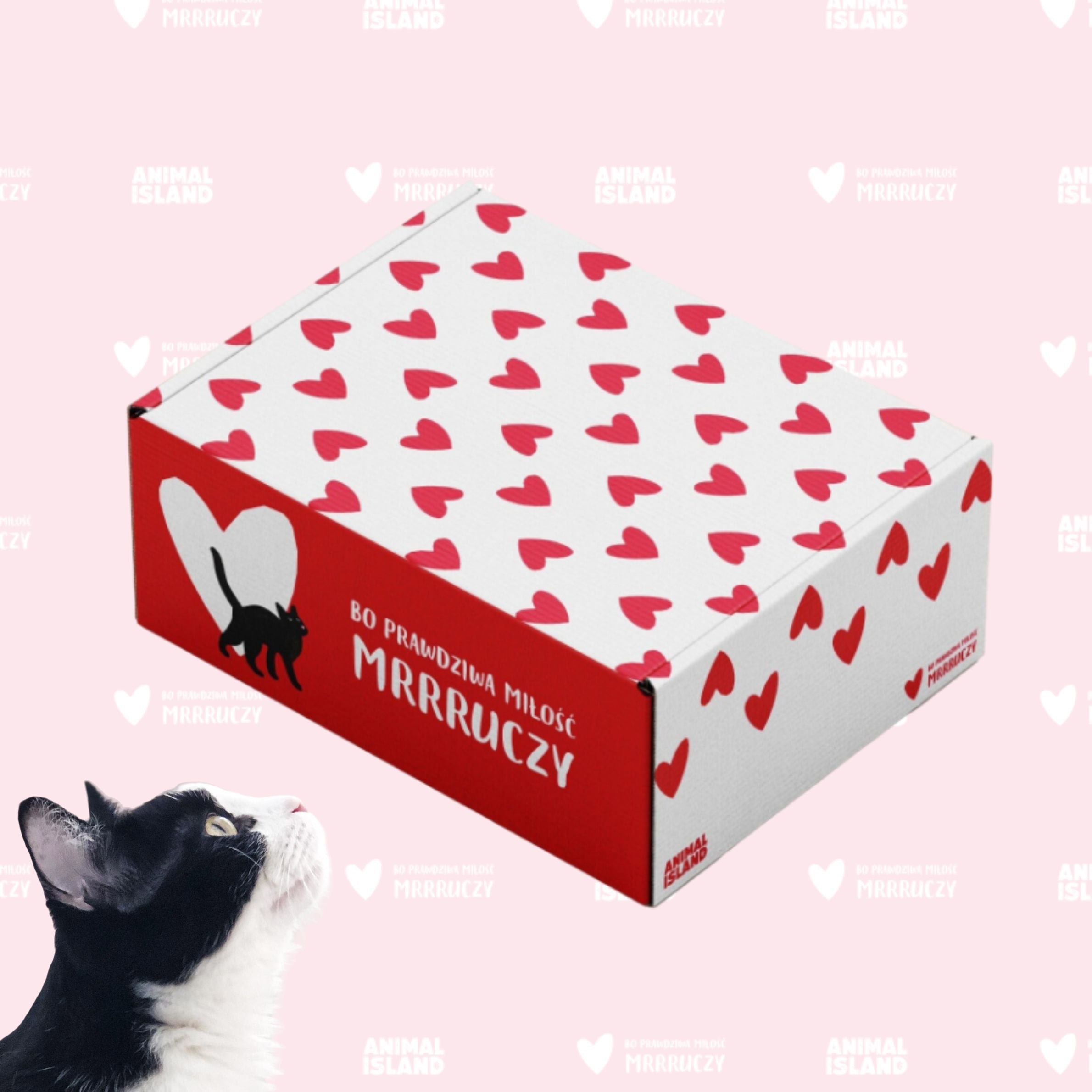 Zestaw LOVE Box dla kota saszetki w rosole 48szt. (indyk/wołowina/kurczak/ryba)