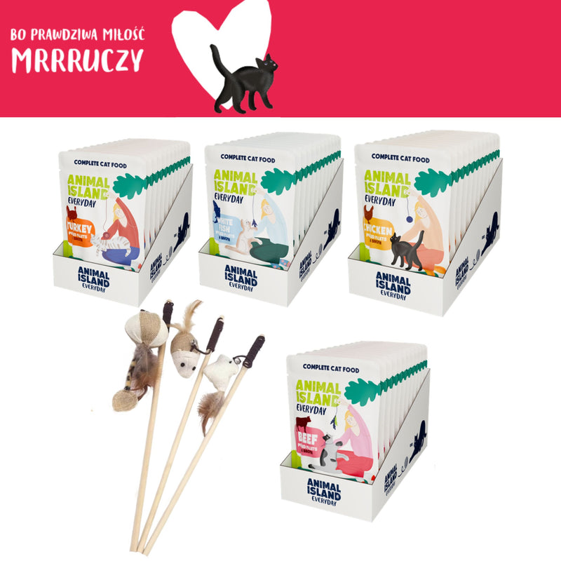 Zestaw LOVE Box dla kota saszetki w rosole 48szt. (indyk/wołowina/kurczak/ryba)